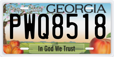 GA license plate PWQ8518