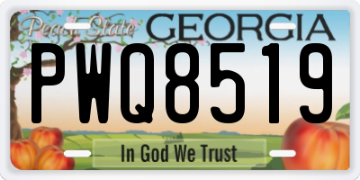 GA license plate PWQ8519