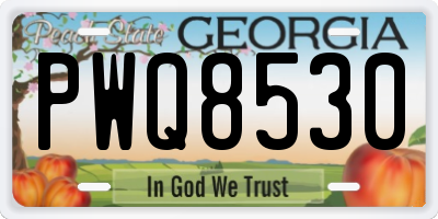 GA license plate PWQ8530