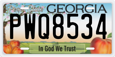 GA license plate PWQ8534
