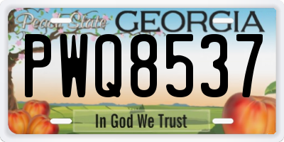 GA license plate PWQ8537