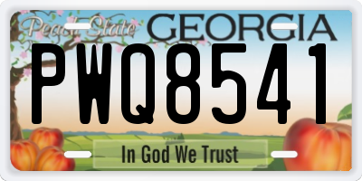 GA license plate PWQ8541