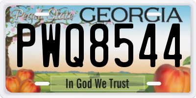 GA license plate PWQ8544