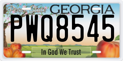 GA license plate PWQ8545