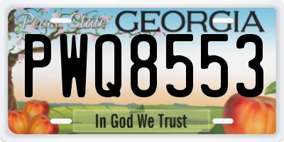 GA license plate PWQ8553