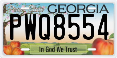 GA license plate PWQ8554
