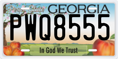 GA license plate PWQ8555