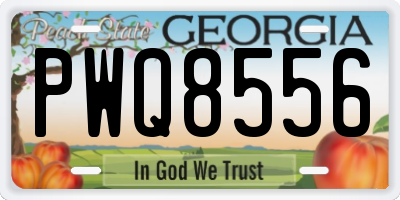 GA license plate PWQ8556