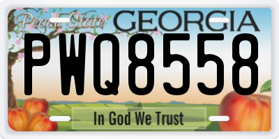 GA license plate PWQ8558