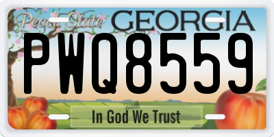 GA license plate PWQ8559