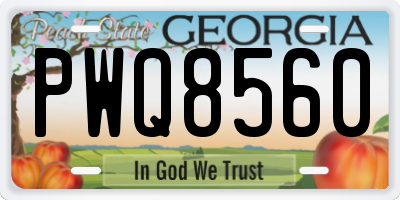 GA license plate PWQ8560