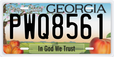 GA license plate PWQ8561