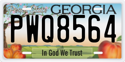 GA license plate PWQ8564