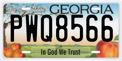 GA license plate PWQ8566