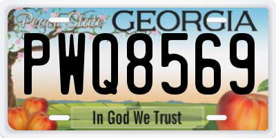 GA license plate PWQ8569