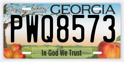 GA license plate PWQ8573