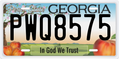 GA license plate PWQ8575