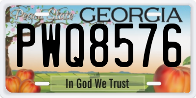 GA license plate PWQ8576