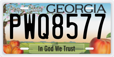 GA license plate PWQ8577