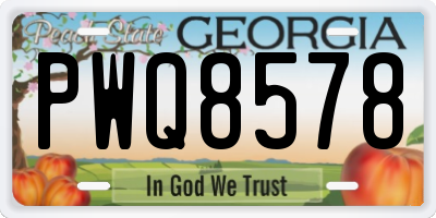 GA license plate PWQ8578