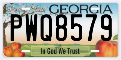 GA license plate PWQ8579