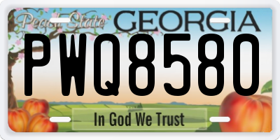 GA license plate PWQ8580