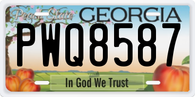 GA license plate PWQ8587