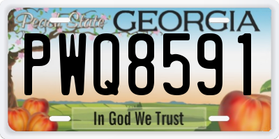 GA license plate PWQ8591