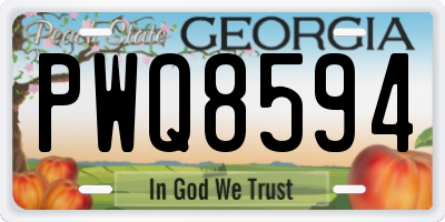 GA license plate PWQ8594