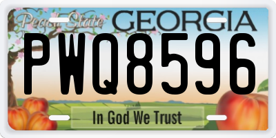 GA license plate PWQ8596