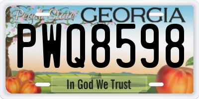 GA license plate PWQ8598