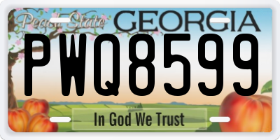 GA license plate PWQ8599