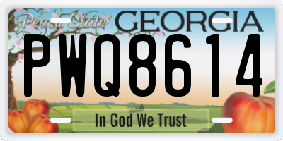 GA license plate PWQ8614