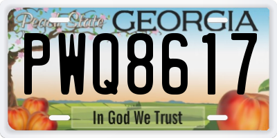 GA license plate PWQ8617