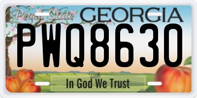 GA license plate PWQ8630