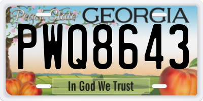 GA license plate PWQ8643