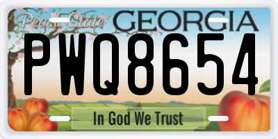 GA license plate PWQ8654
