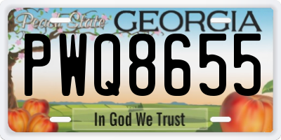 GA license plate PWQ8655
