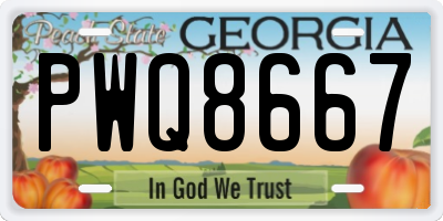 GA license plate PWQ8667