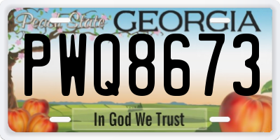 GA license plate PWQ8673
