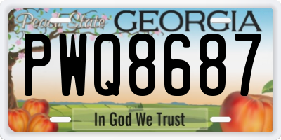 GA license plate PWQ8687