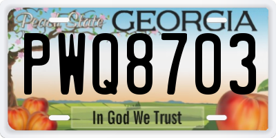 GA license plate PWQ8703