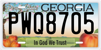 GA license plate PWQ8705