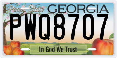GA license plate PWQ8707