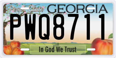 GA license plate PWQ8711