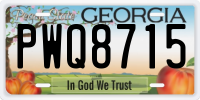 GA license plate PWQ8715