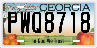 GA license plate PWQ8718