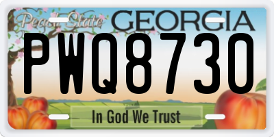 GA license plate PWQ8730