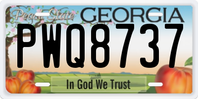 GA license plate PWQ8737