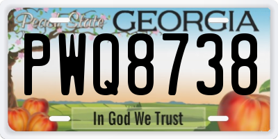 GA license plate PWQ8738